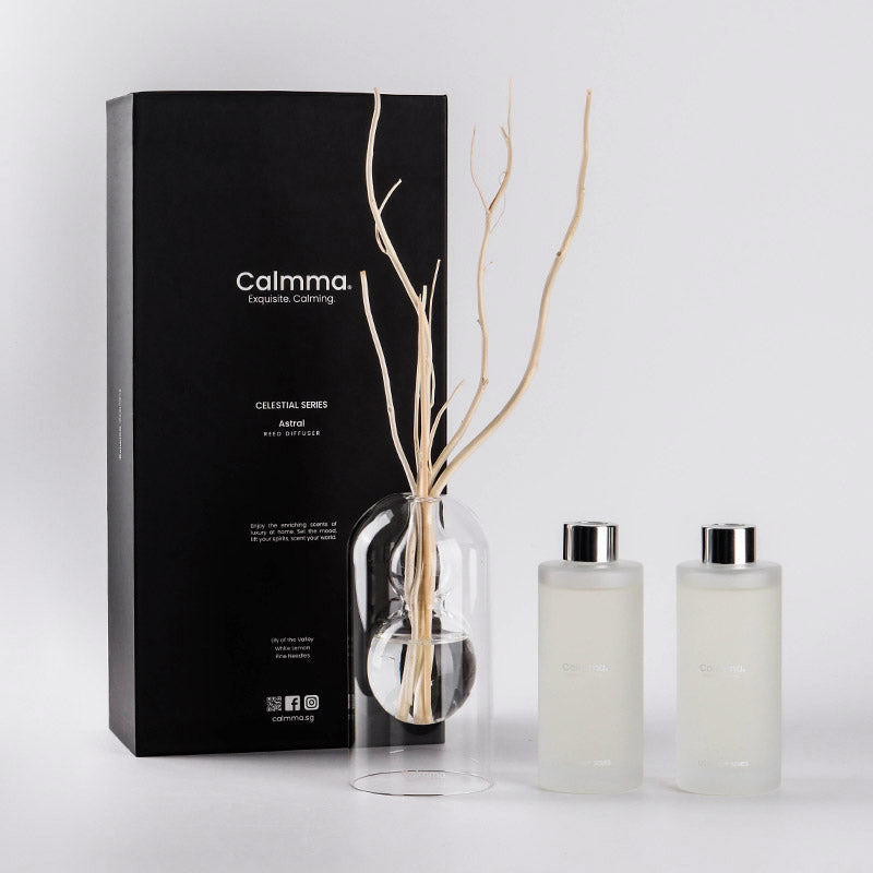 Luxurious Reed diffuser Set